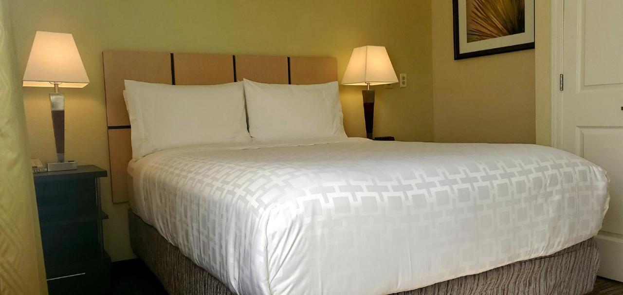 Candlewood Suites Houston Medical Center By Ihg Exterior foto